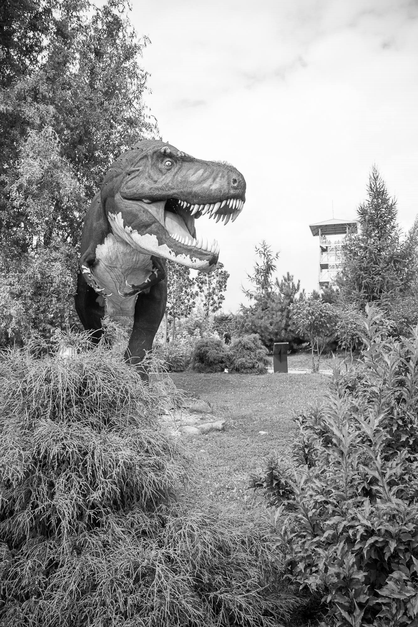 inwald-park-27